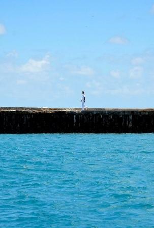 7345133320_0dd41c6fc1_c