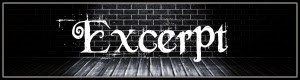 Excerpt Banner