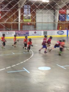 IMG_1533-e1462599220832-225x300 (1)