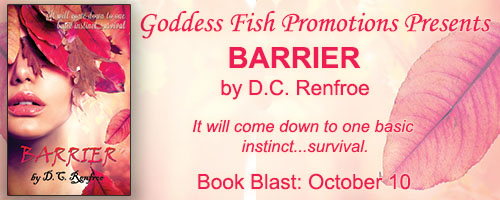mbb_releaseday_tourbanner_barrier_redeaux