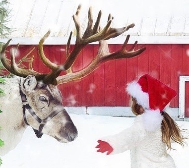 Guest Post - It's All About the Romance 2