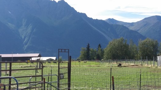 Guest Post - It's All About the Romance