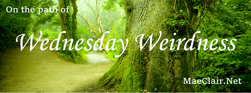 pathway between large, gnarled trees with words "on the path of Wednesday Weirdness" superimposed over image