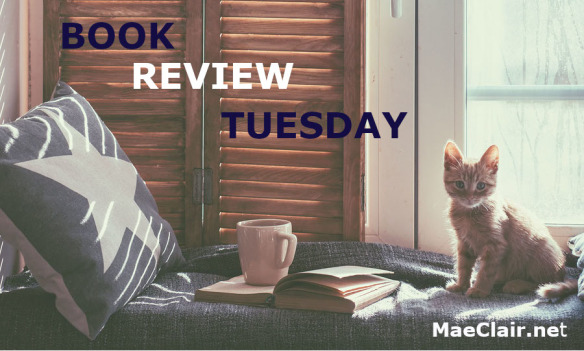 Warm and cozy window seat with cushions and a opened book, light through vintage shutters, rustic style home decor. Small cat on window seat, along with coffee cup by pillow, Words Book Review Tuesday superimposed over image